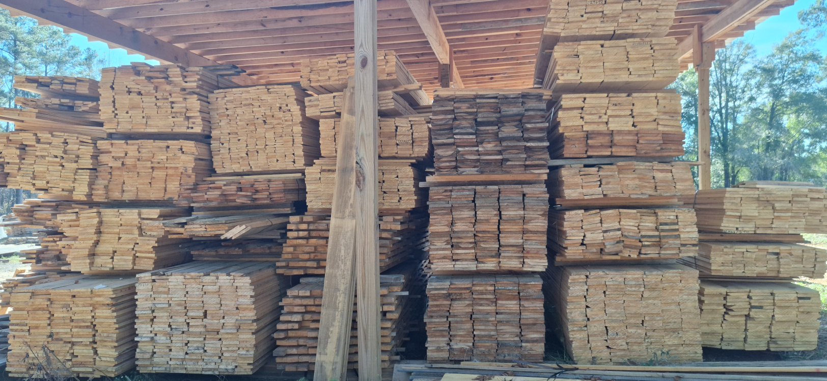 Pecky Cypress Stock