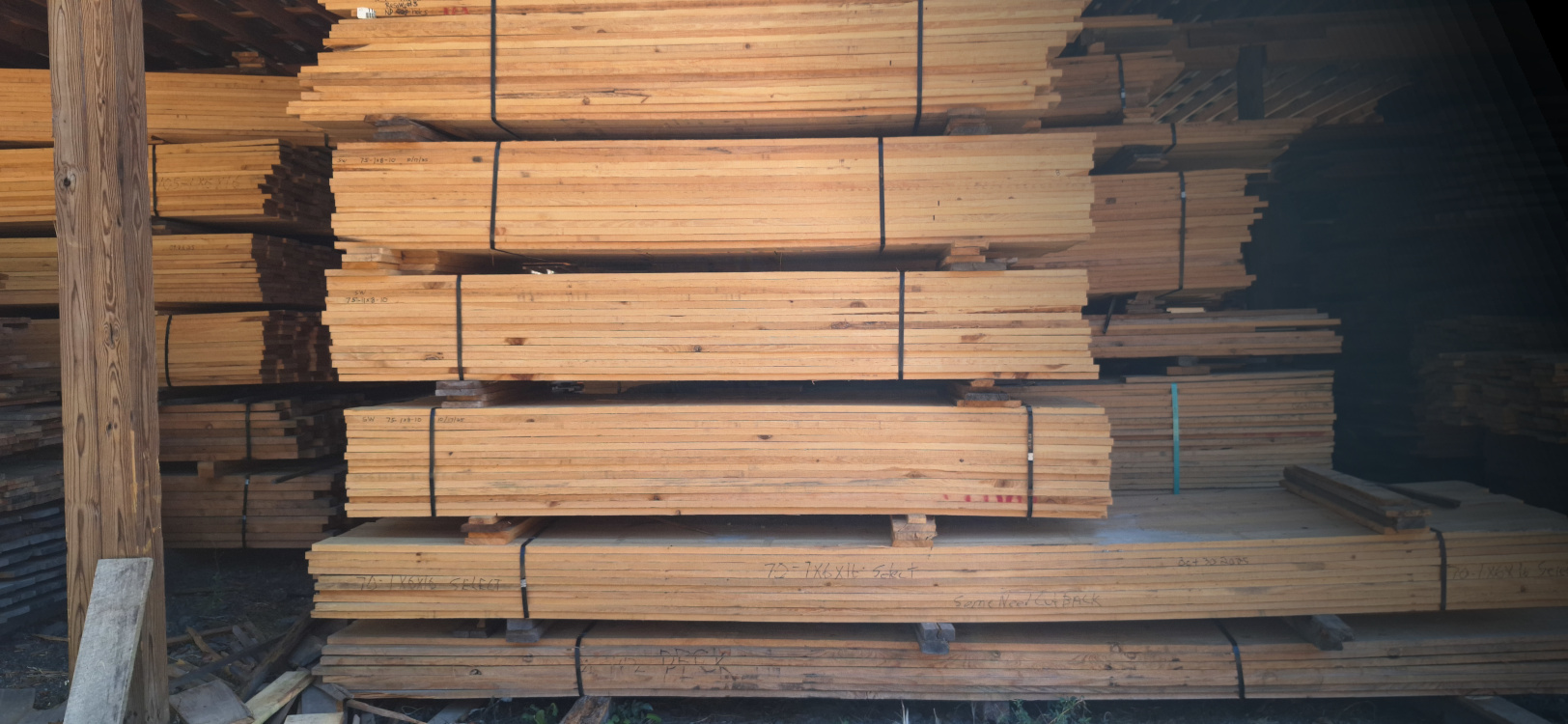 Pecky Cypress Stock